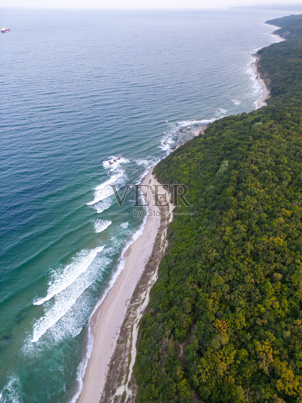 鸟瞰美丽的海滩，有森林和沙滩。照片摄影图片