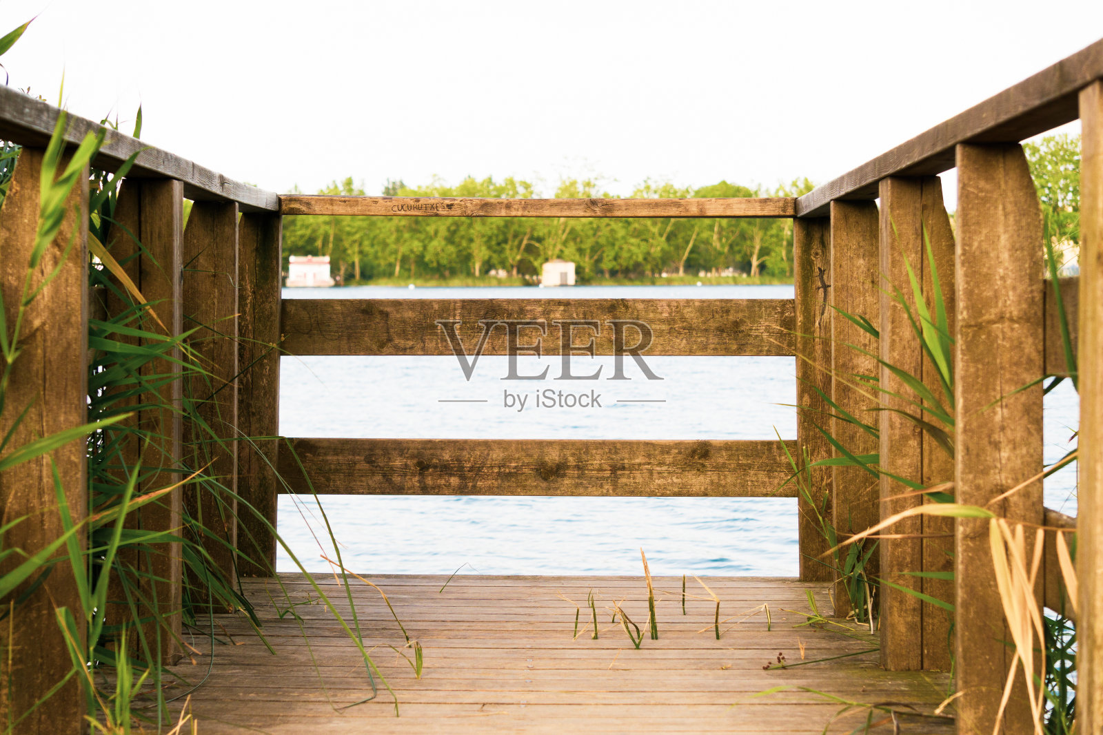 班约莱斯湖的动物观察木甲板照片摄影图片