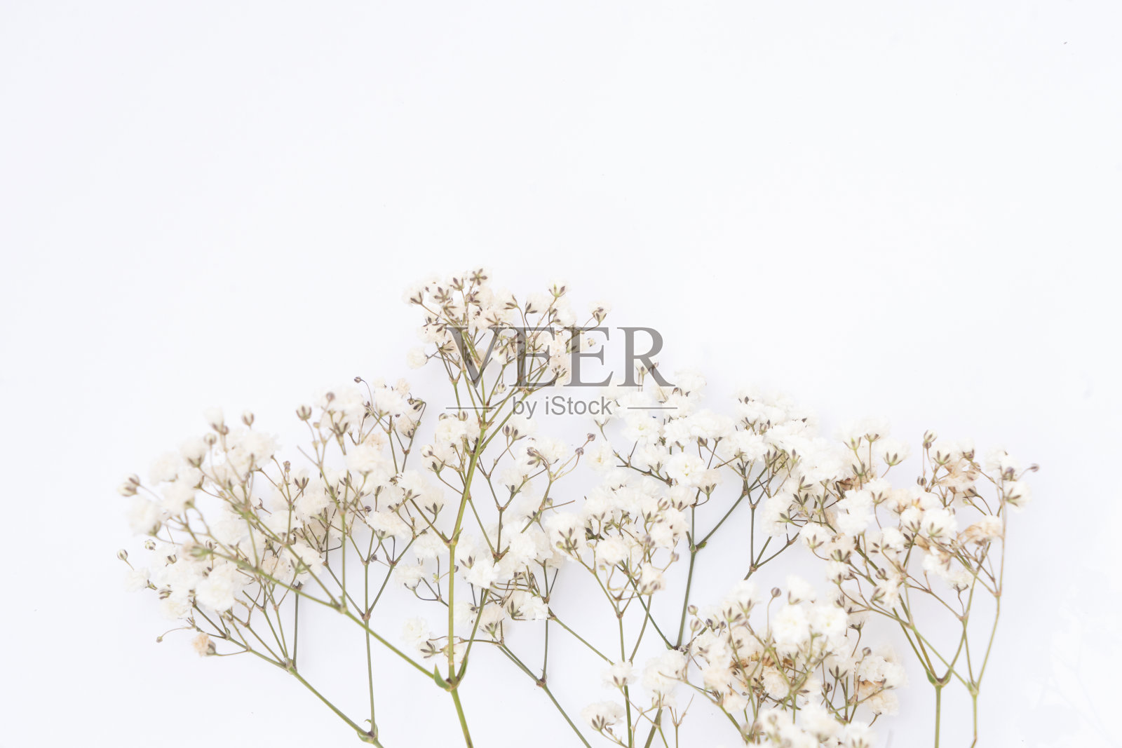 婚礼或母亲节背景照片摄影图片