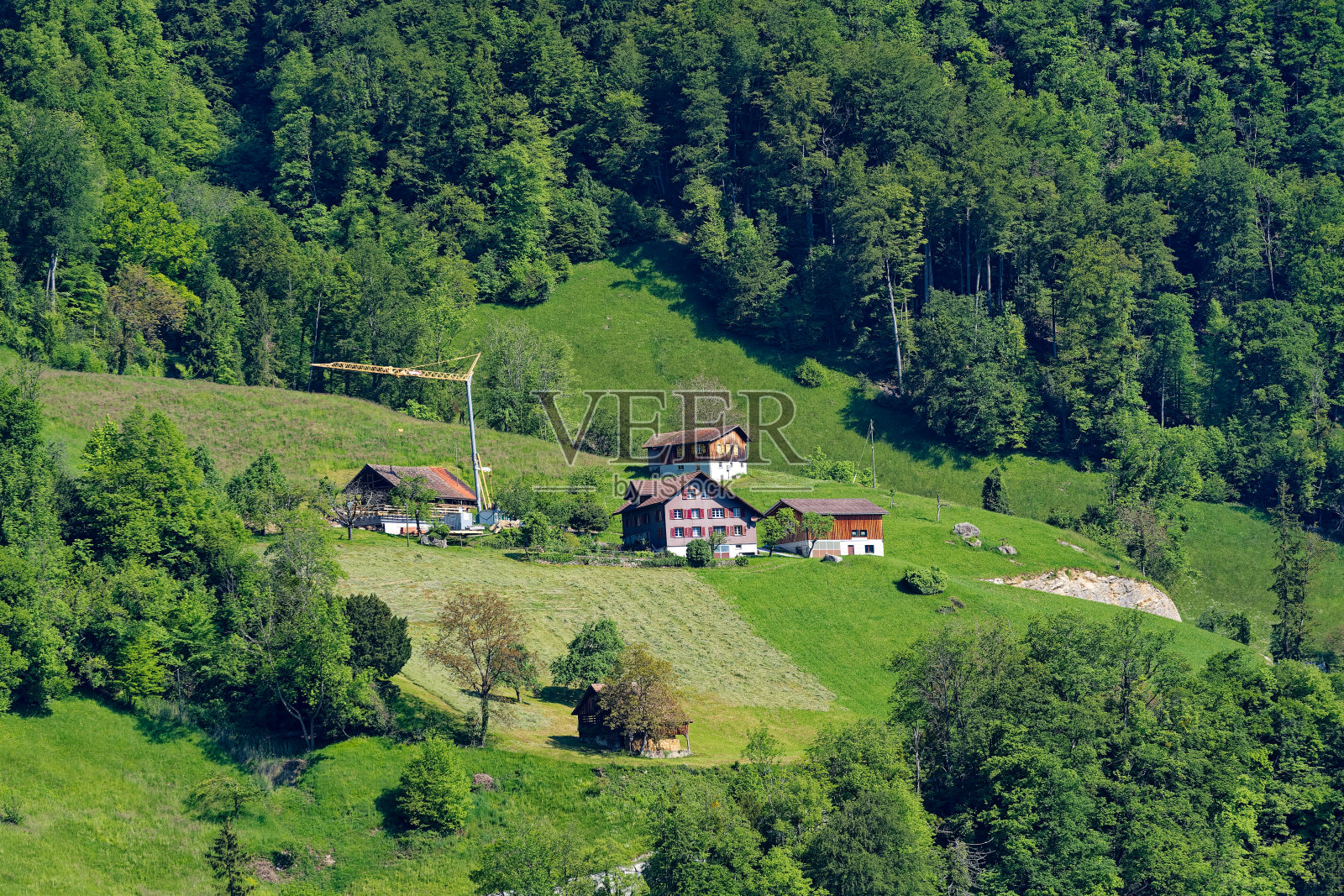 瑞士阿尔卑斯山的高山，有草地、林地和农业建筑。照片摄影图片
