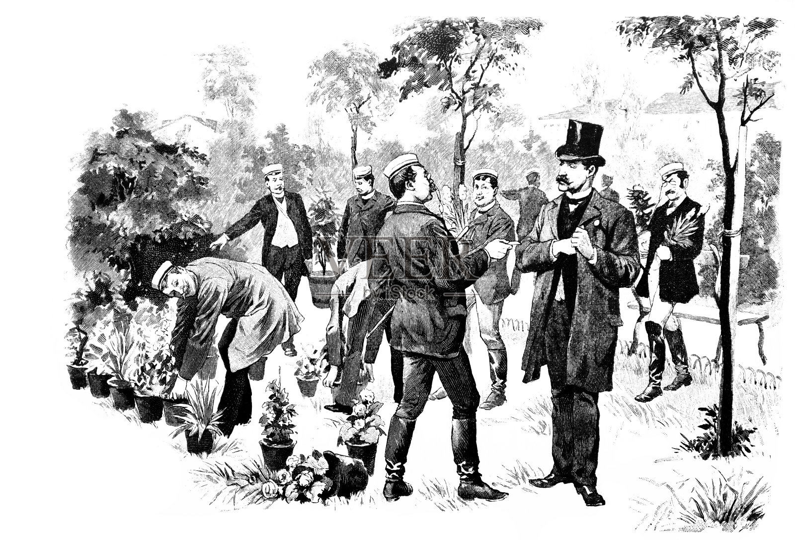 在园丁的插画图片素材