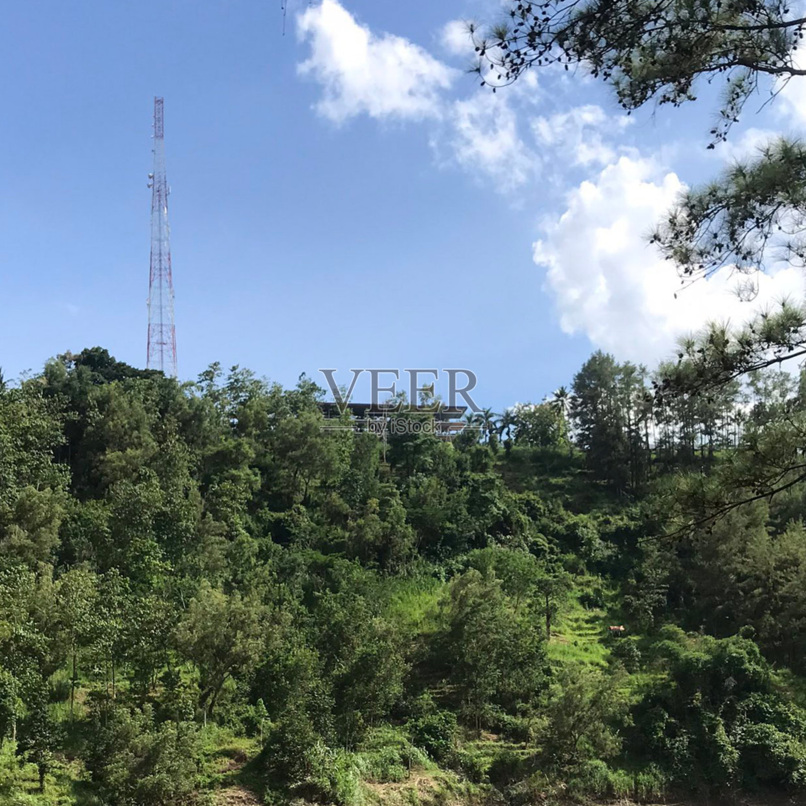 自然照片摄影图片