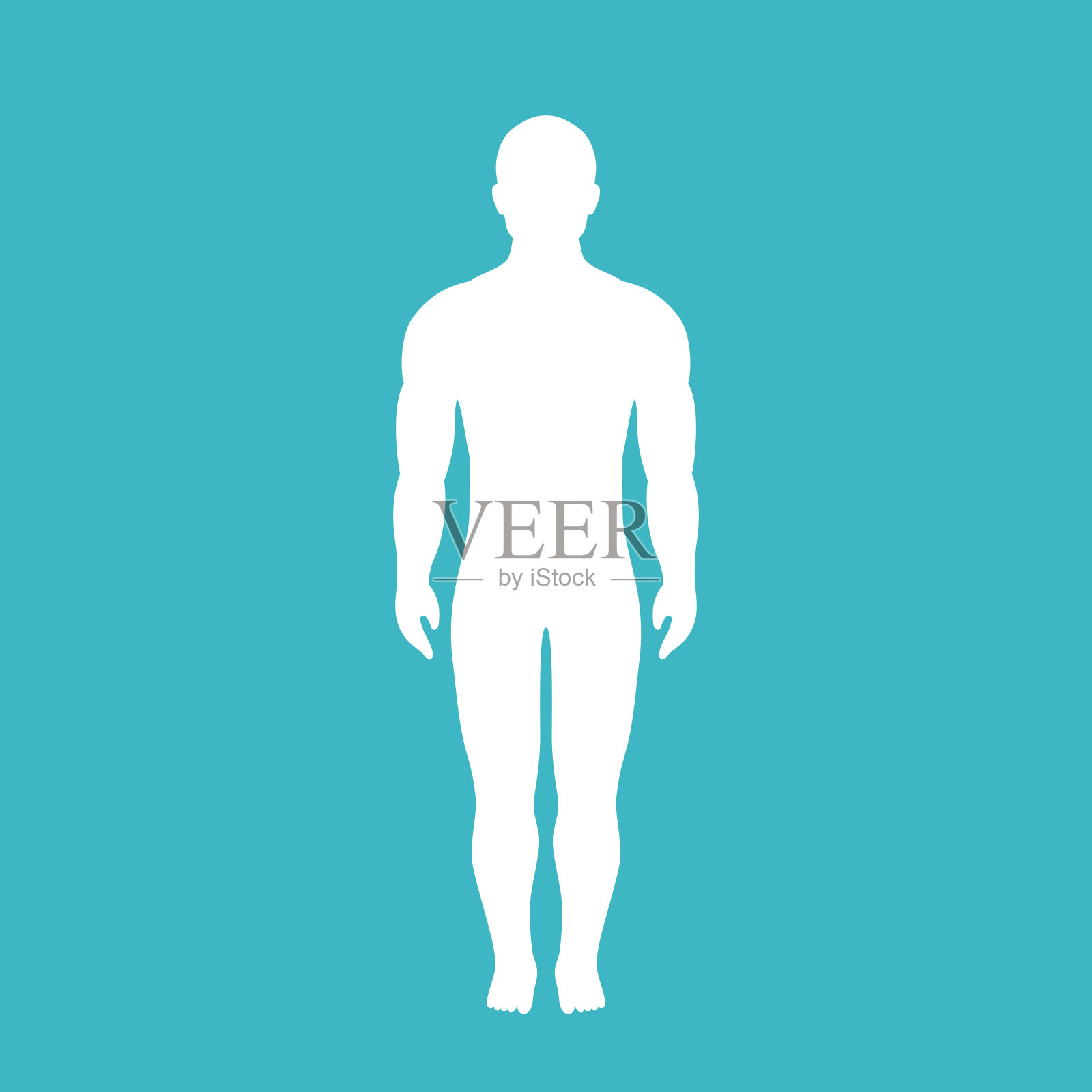 全尺寸人体矢量轮廓插画图片素材