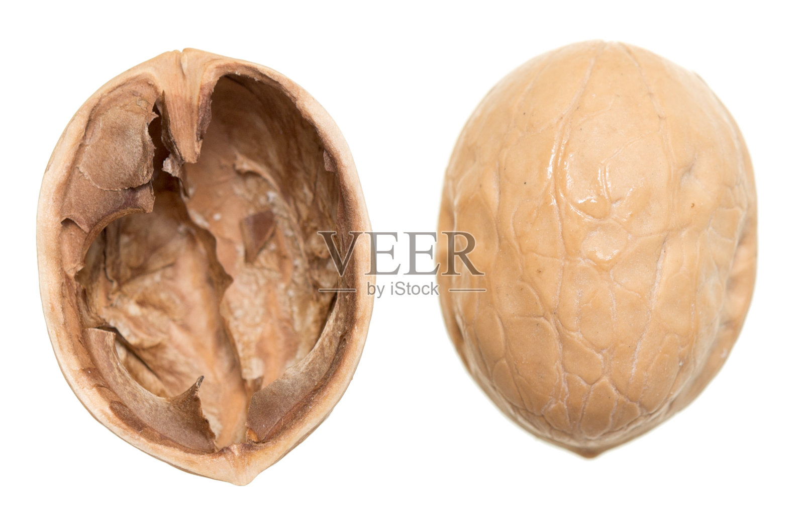 胡桃壳照片摄影图片