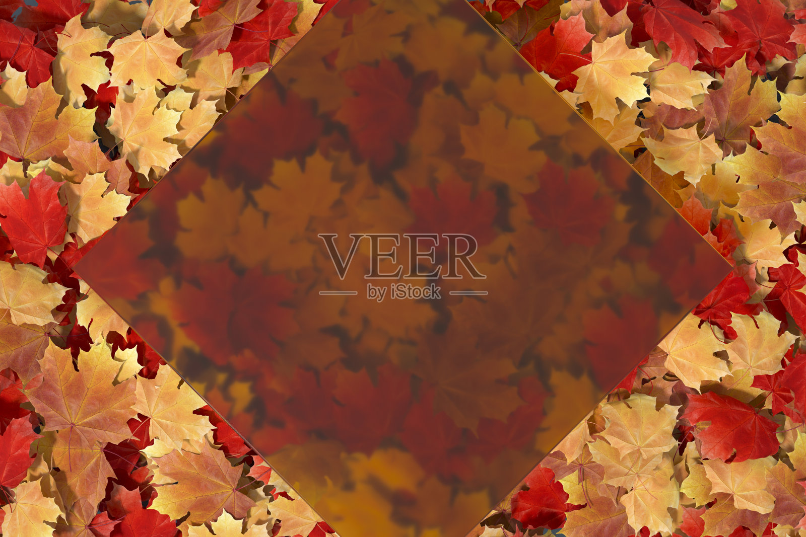 秋天的树叶背景与玻璃框架照片摄影图片