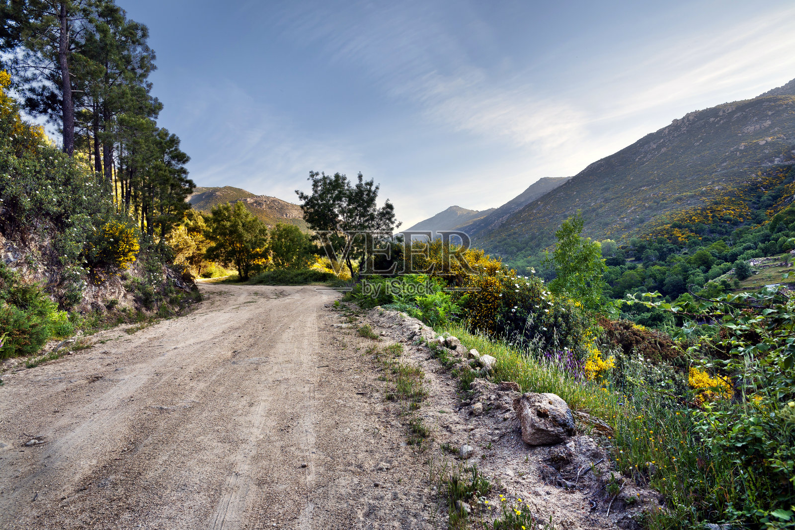 卡米诺·德尔·克洛照片摄影图片