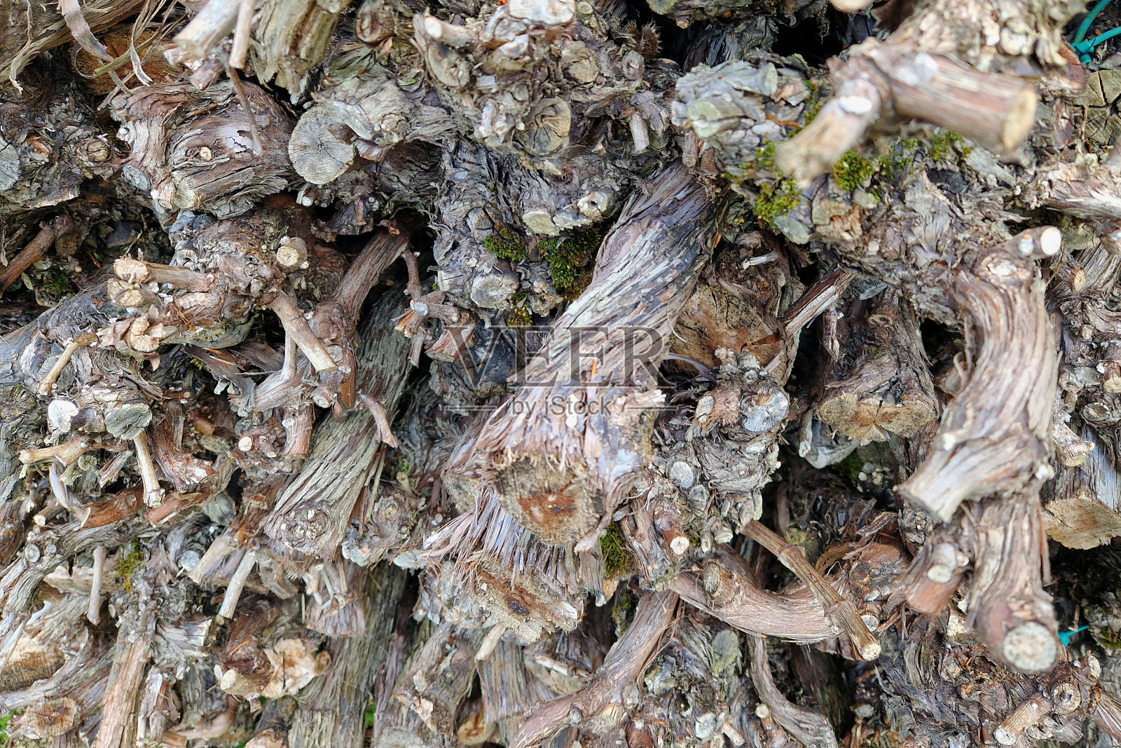 干葡萄照片摄影图片