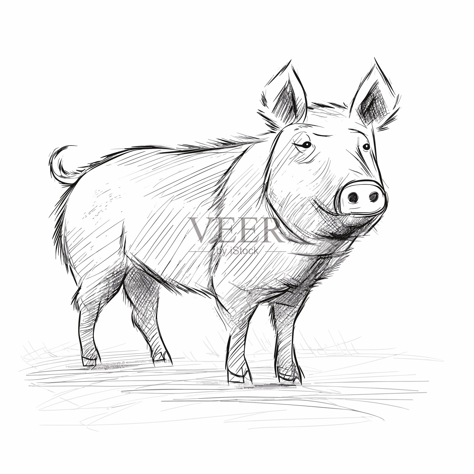 猪手绘猪涂鸦风格的卡通插画图片素材