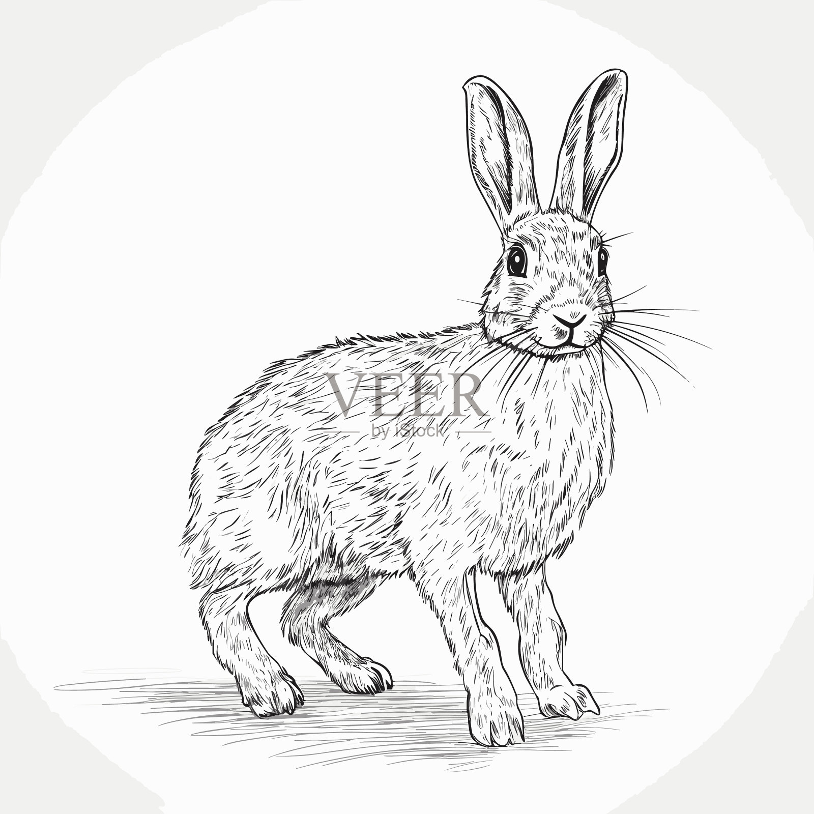 兔子doe手绘兔子doe涂鸦风格插画图片素材