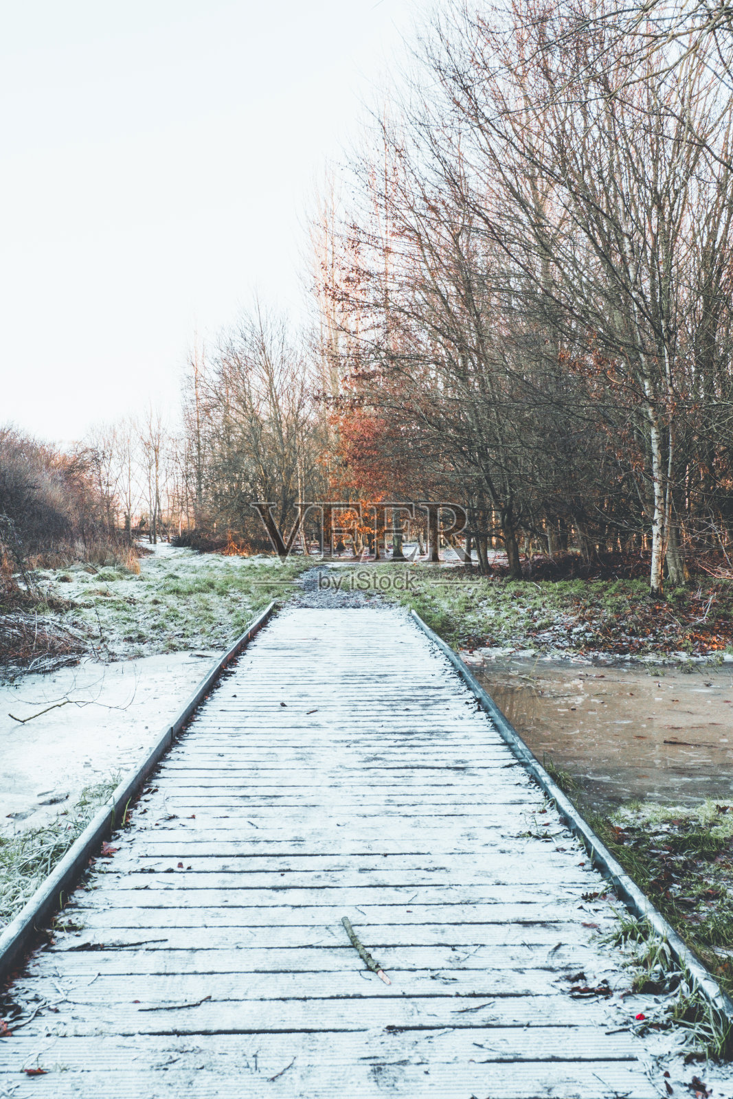 劳顿伍兹冬季冰冻洪水照片摄影图片