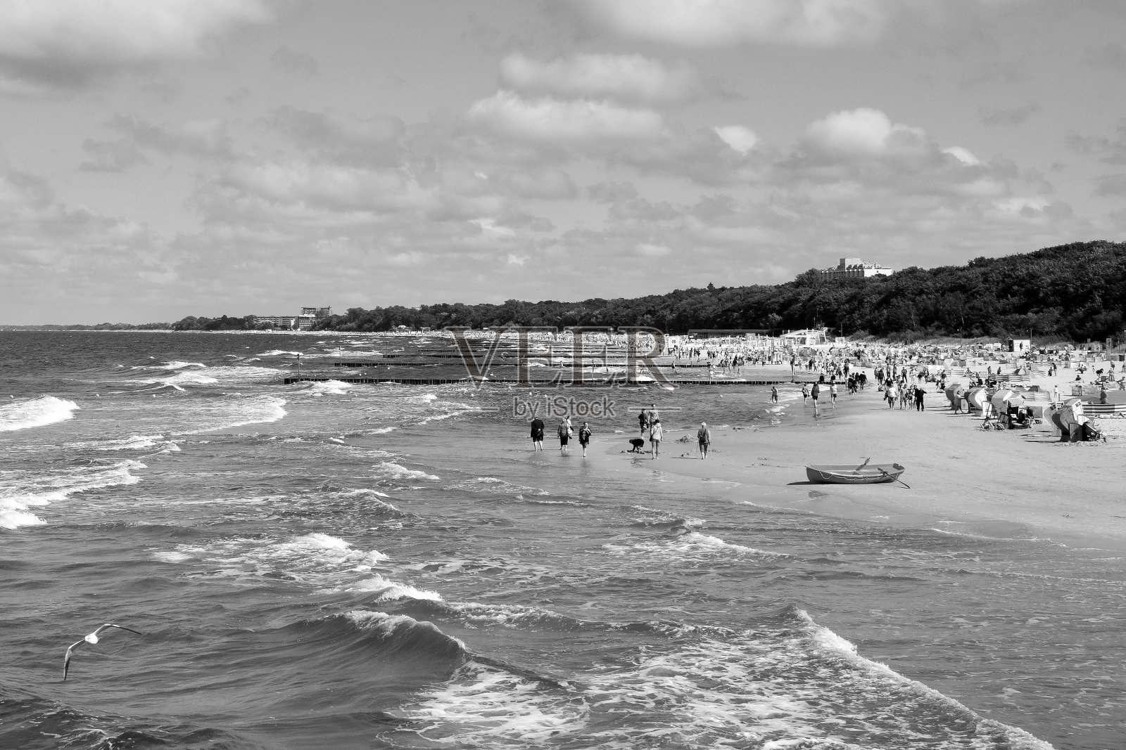 波罗的海照片摄影图片