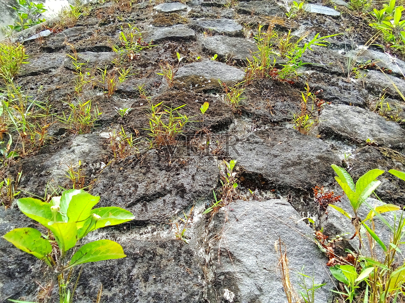 石墙照片摄影图片