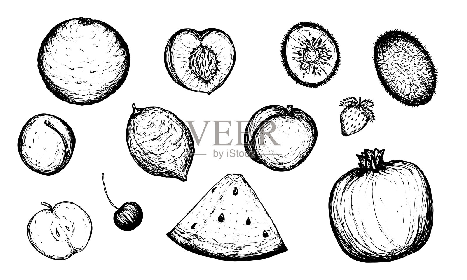 水果和浆果素描集。手绘涂鸦水果在白色的背景。矢量插图。插画图片素材