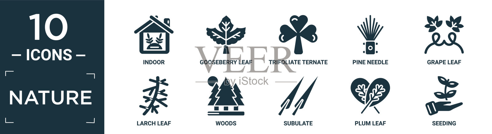 填充自然图标集。包含平面室内，醋栗叶，三叶三叶，松针，葡萄叶，落叶松叶，木材，钻形，梅子种子图标可编辑格式。插画图片素材