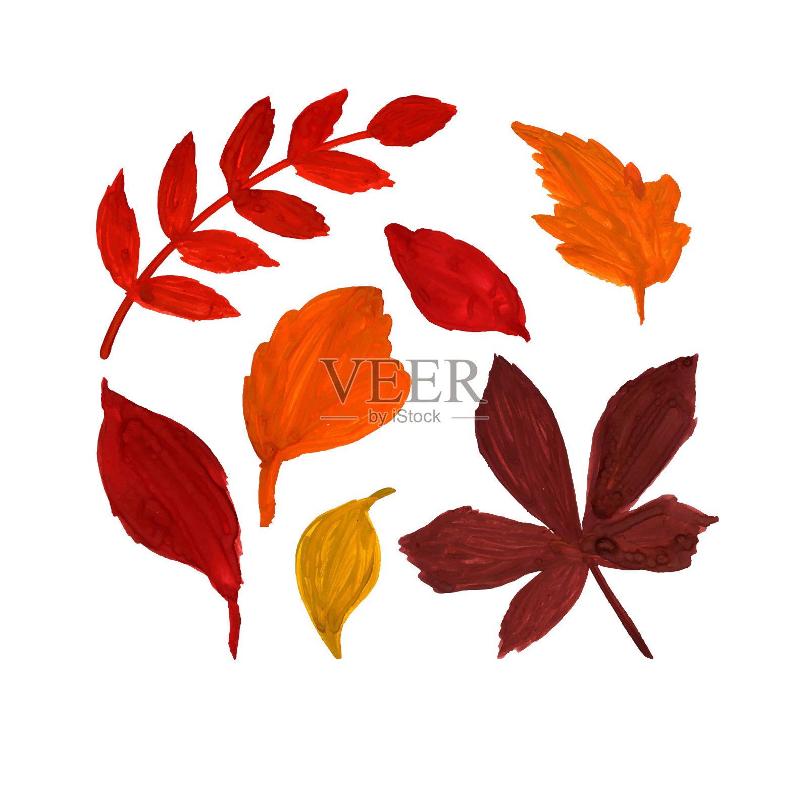 矢量集秋叶手绘水粉画。白色背景上的孤立物体。秋季海报背景印刷设计元素插画图片素材
