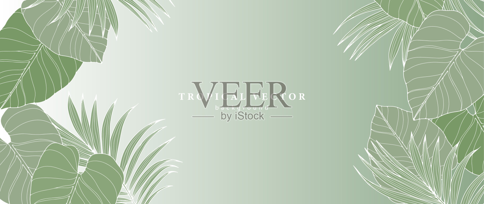 绿色热带背景与大叶子。植物背景装饰，壁纸，封面，明信片和演示。用于文本或照片的框架插画图片素材