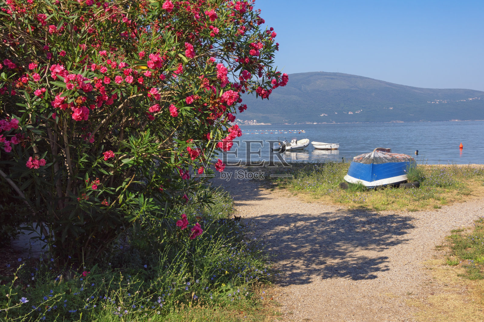 美丽的地中海景观在阳光明媚的夏日。黑山。蒂瓦特市附近的科托尔湾海岸照片摄影图片