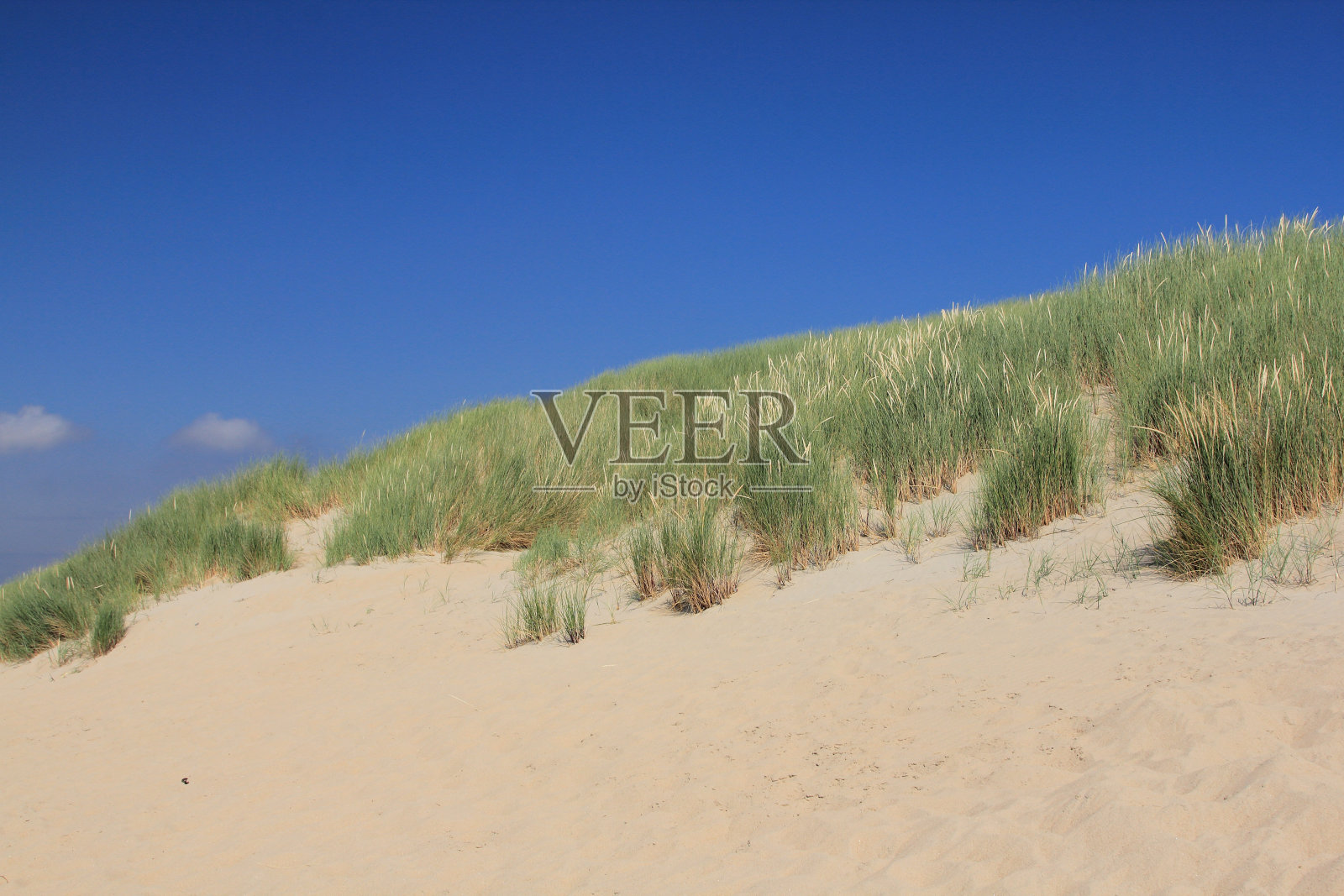 沙丘景观照片摄影图片