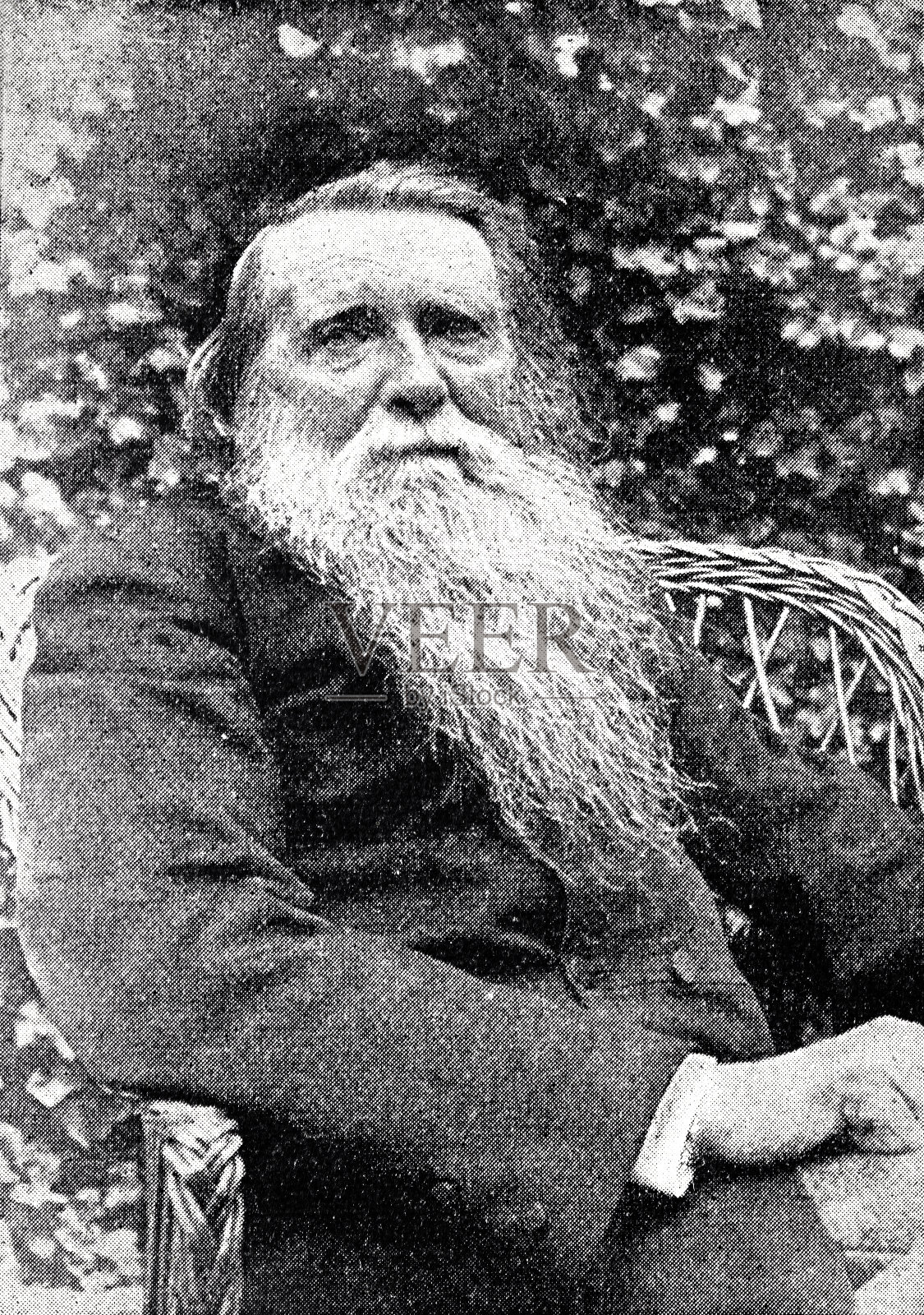 约翰·罗斯金的肖像，英国诗人，1819-1900插画图片素材