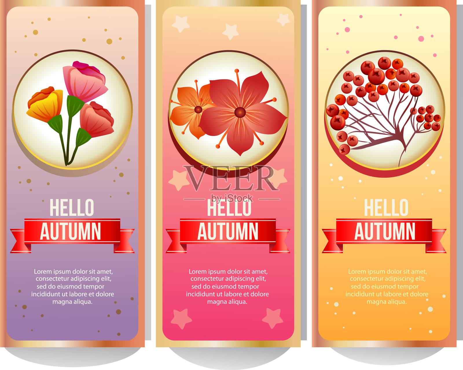 五颜六色的旗帜收集与秋天的植物插画图片素材