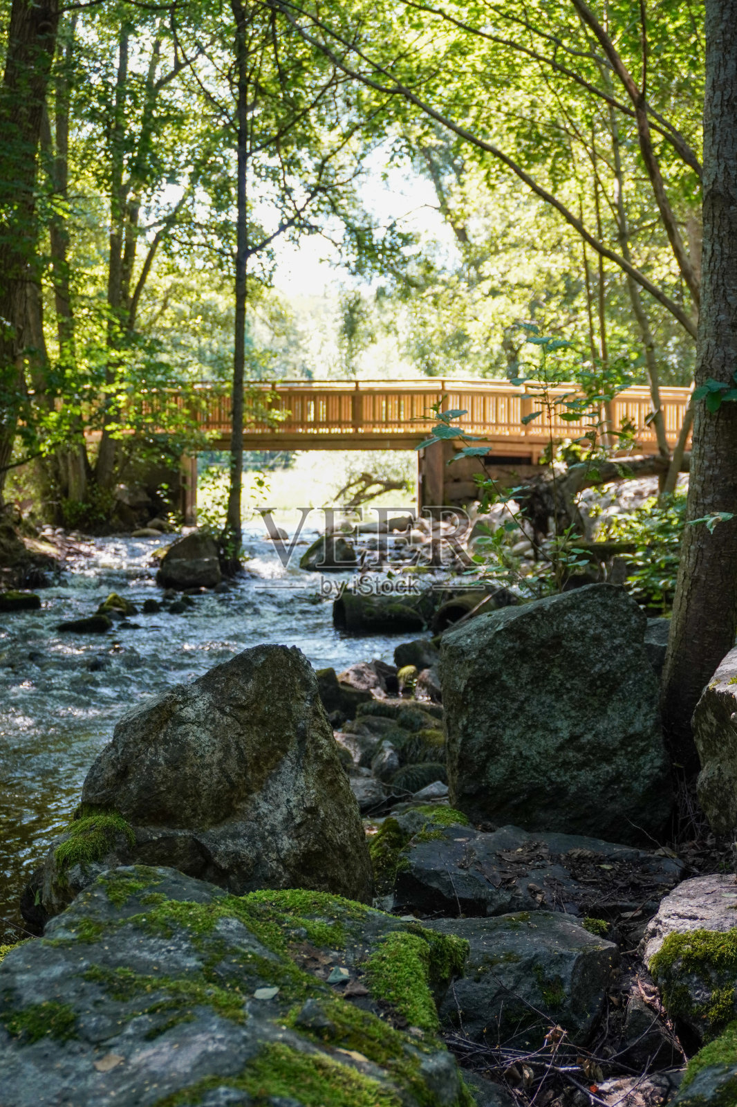 小溪上的一座桥照片摄影图片