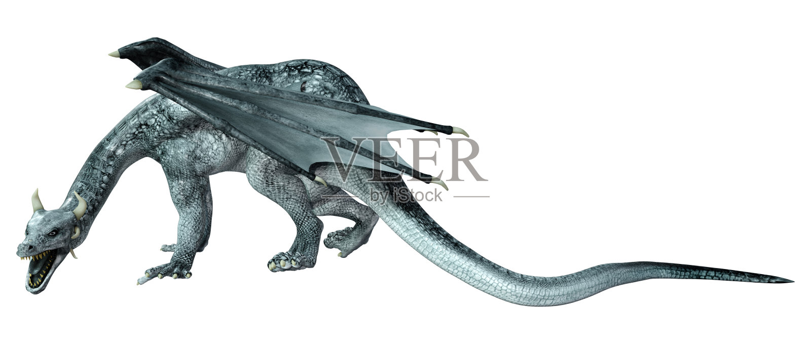 3D渲染童话龙在白色照片摄影图片