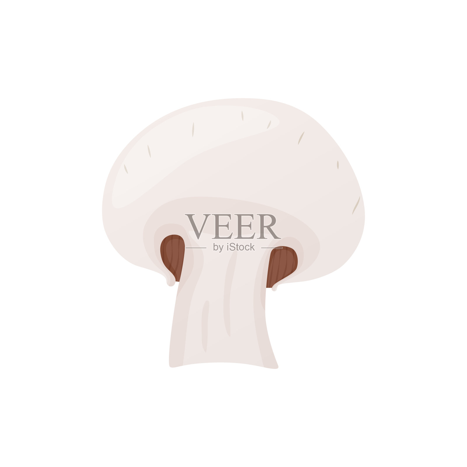 新鲜食用香草。成熟的蔬菜香菇宜食，素人美食。插画图片素材