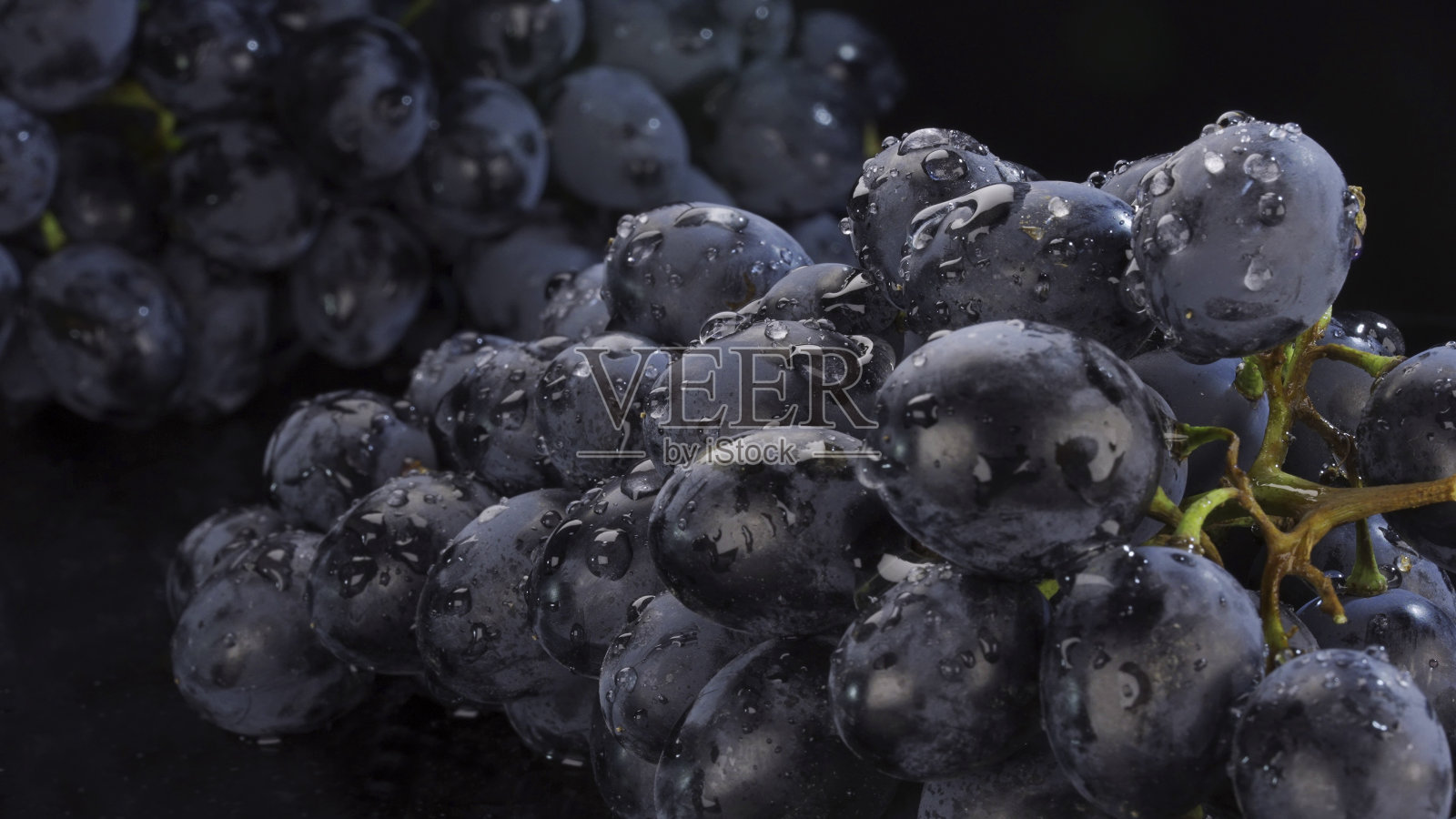新鲜黑葡萄的细节与水滴，特写照片摄影图片