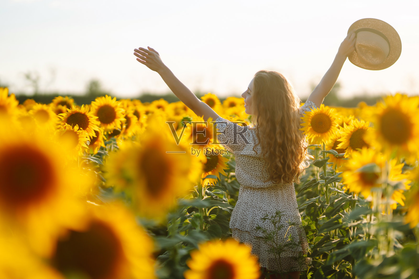 女子穿着裙子，戴着帽子，在向日葵地里摆姿势。享受这一刻。积极的生活方式。照片摄影图片
