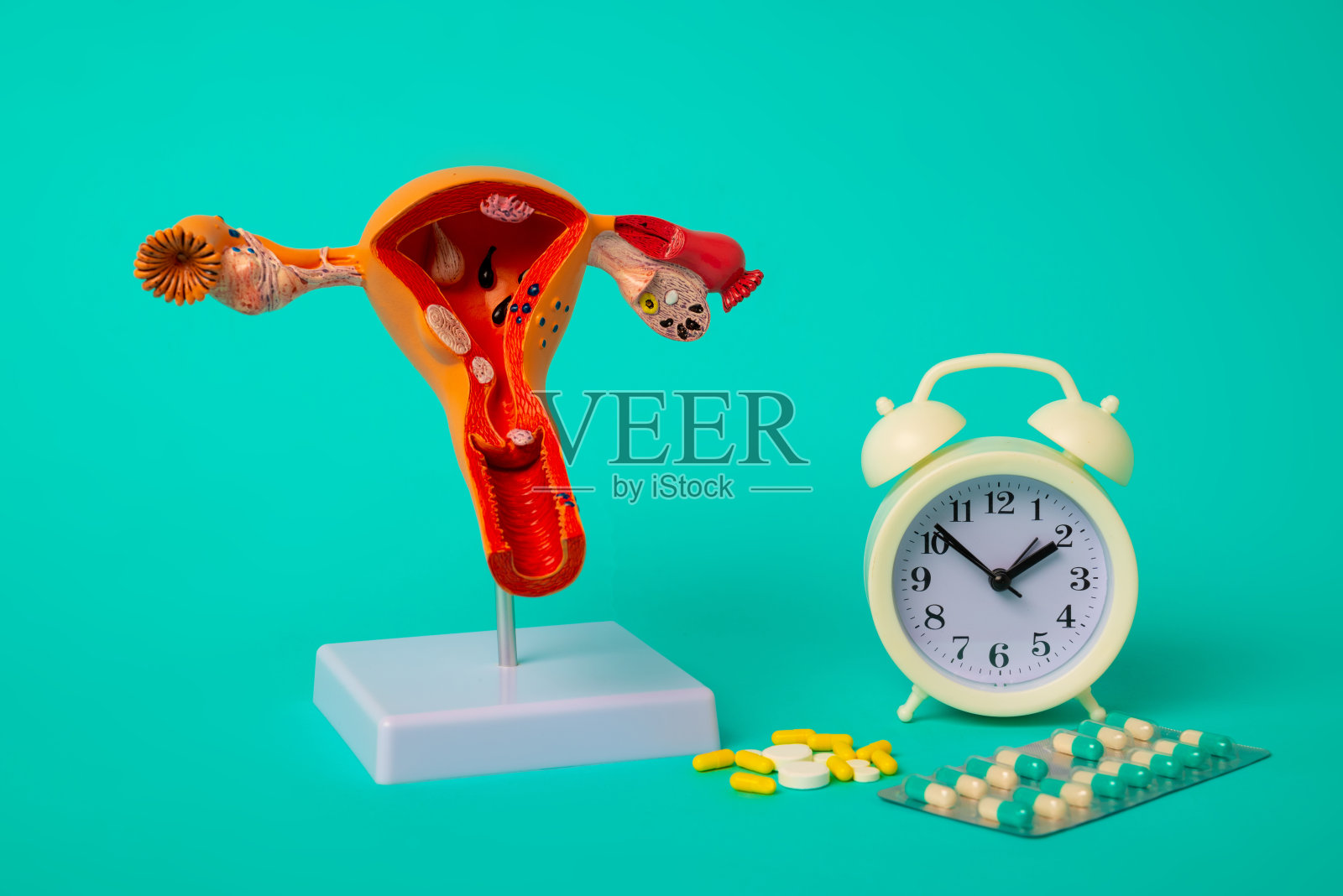 健康体检和疾病预防理念。女性生殖器官模型和带有药物的闹钟特写照片摄影图片