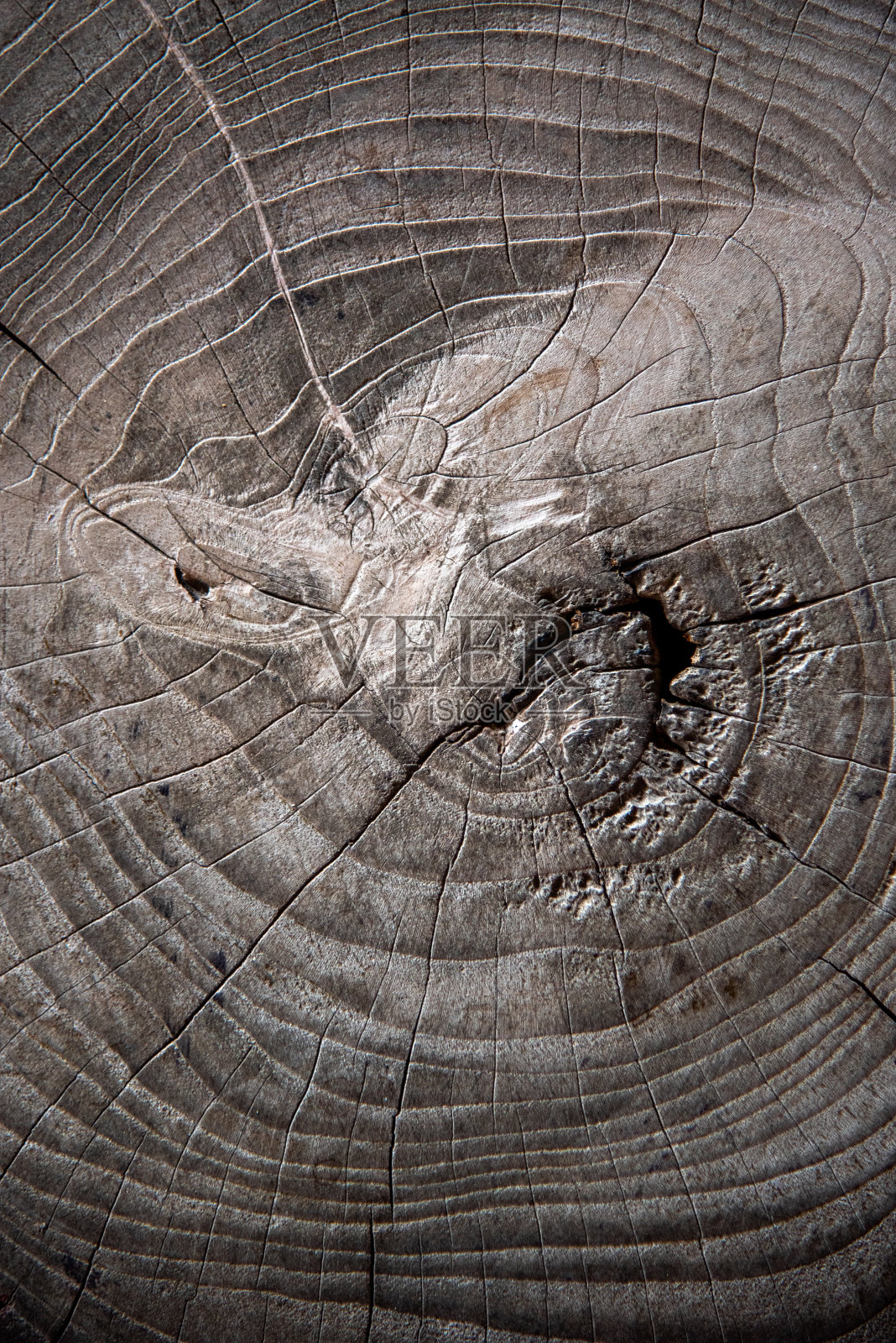 老木纹。衬板墙。木制背景。模式。显示生长环照片摄影图片