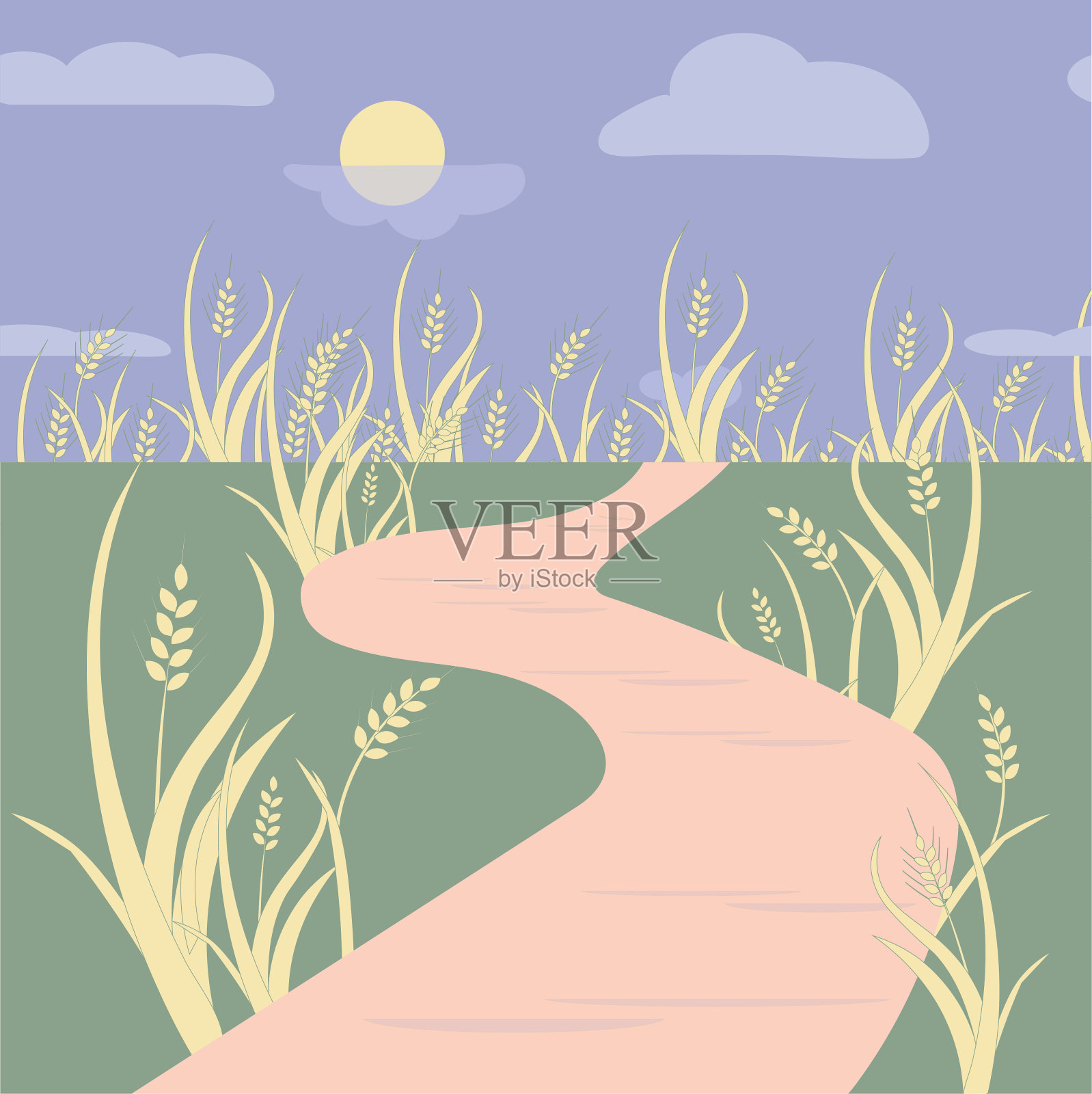 小麦穗黄色在紫色水平背景上插画图片素材