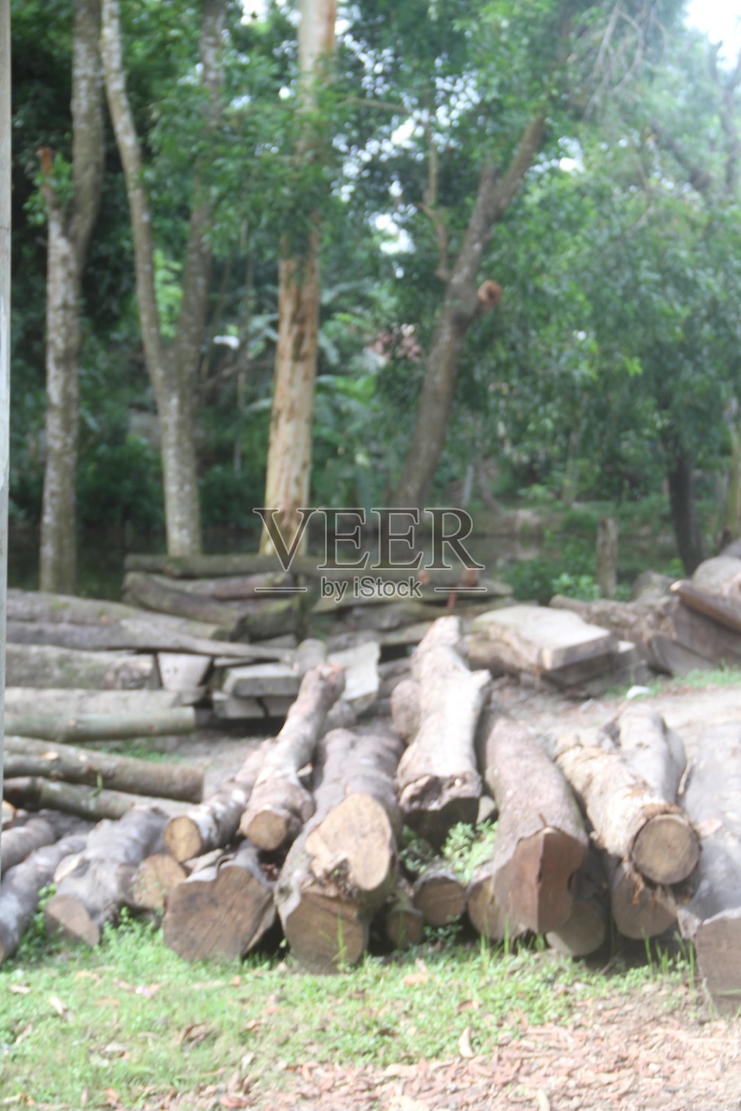 乡村生活照片摄影图片