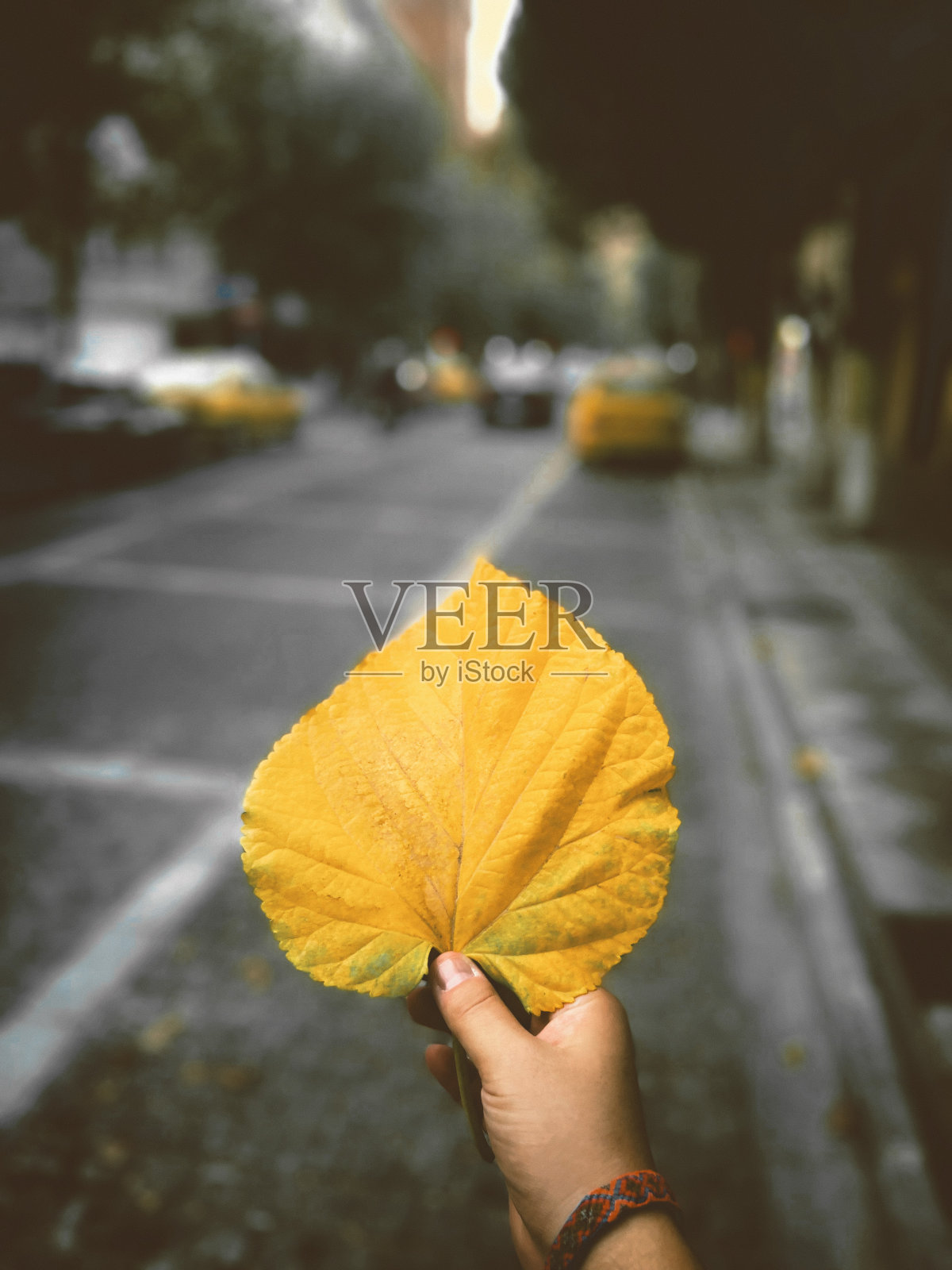 希望照片摄影图片