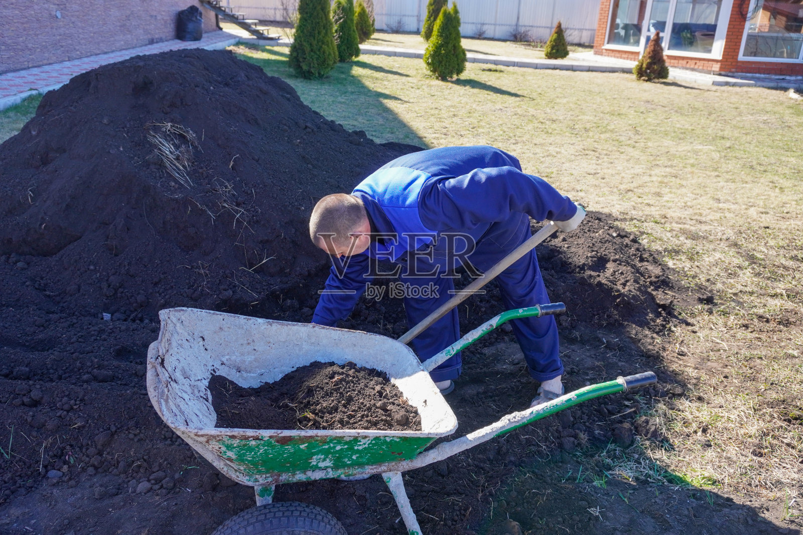 早春时节，一个男人在菜园里干活照片摄影图片