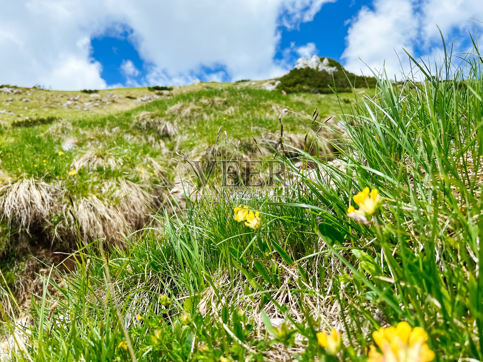 维舍夫尼克山的景色照片摄影图片
