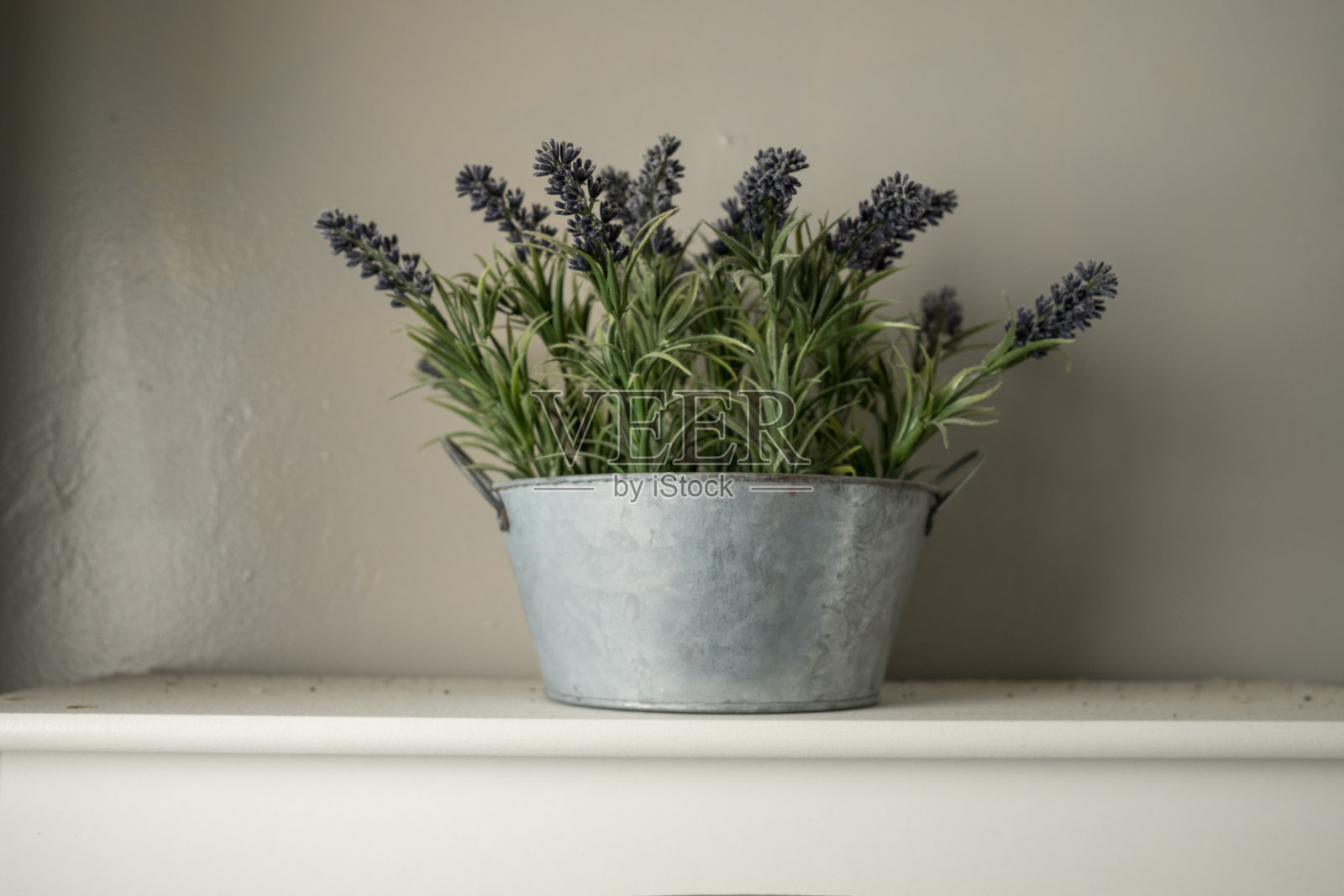薰衣草植物在一个金属容器在一个白色的架子照片摄影图片