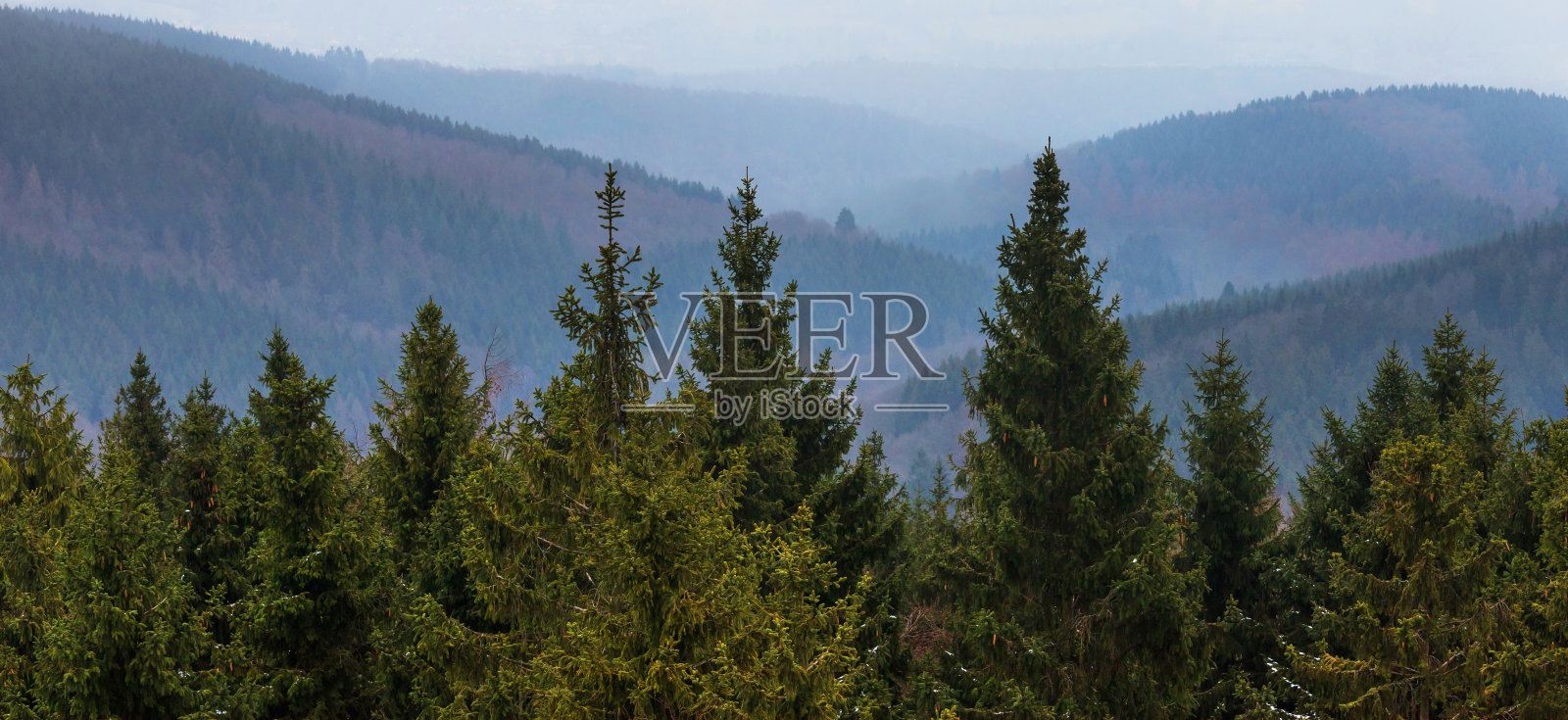 冬天的德国，红发山脉，森林丘陵照片摄影图片