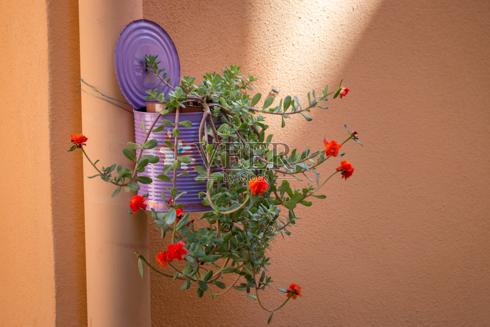 挂漆花盆创意装饰照片摄影图片