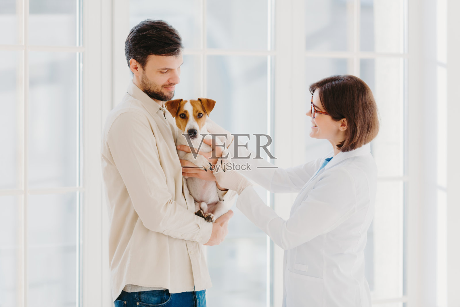 女兽医去检查病狗的侧面镜头。杰克罗素梗狗和他的主人来到兽医诊所，需要帮助治疗疾病，站在窗户。爱护动物照片摄影图片