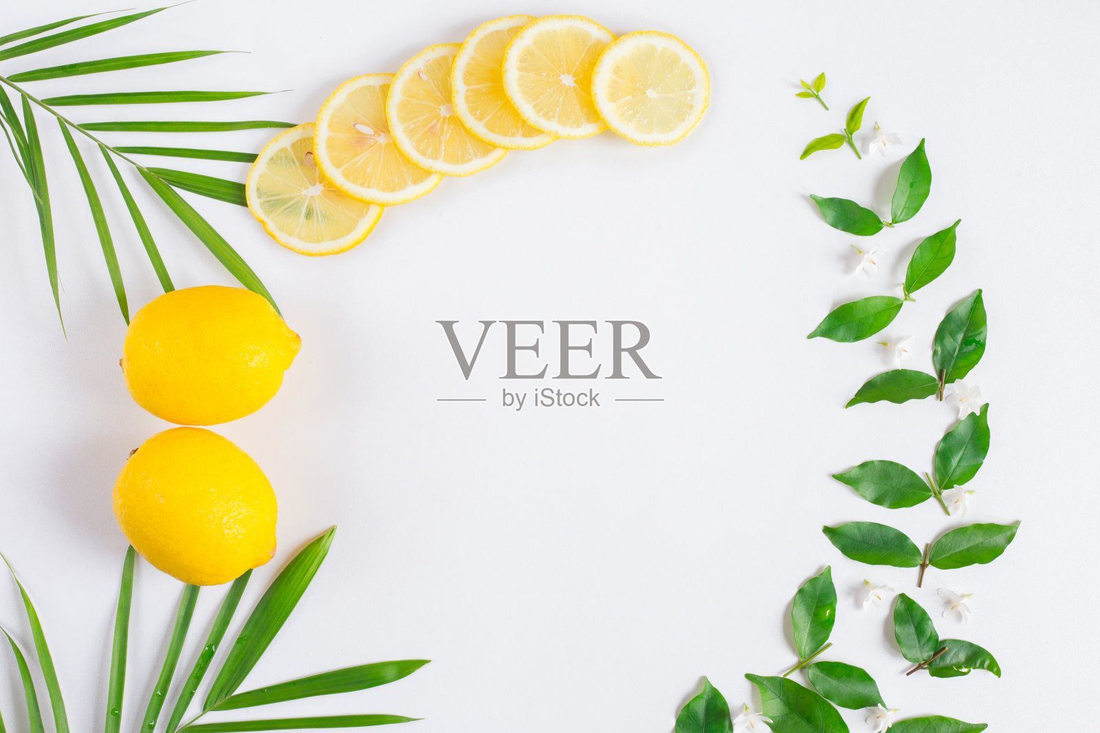 热带平原照片摄影图片