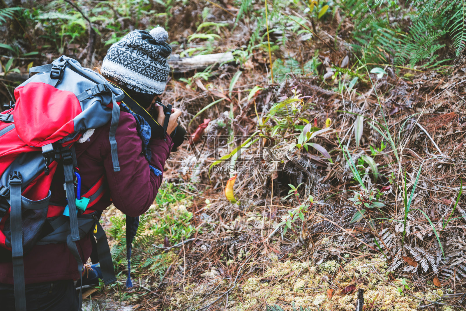摄影师亚洲女性旅游摄影自然。在森林里的假日散步中旅行放松。假期旅行放松。泰国照片摄影图片