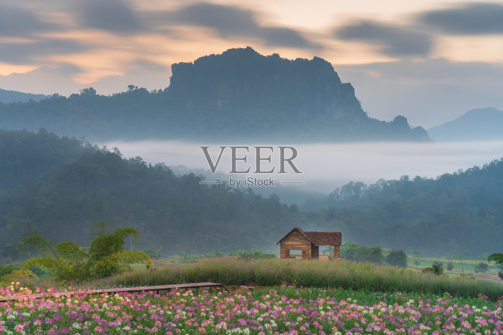 泰国清迈清岛美丽的日出景色照片摄影图片