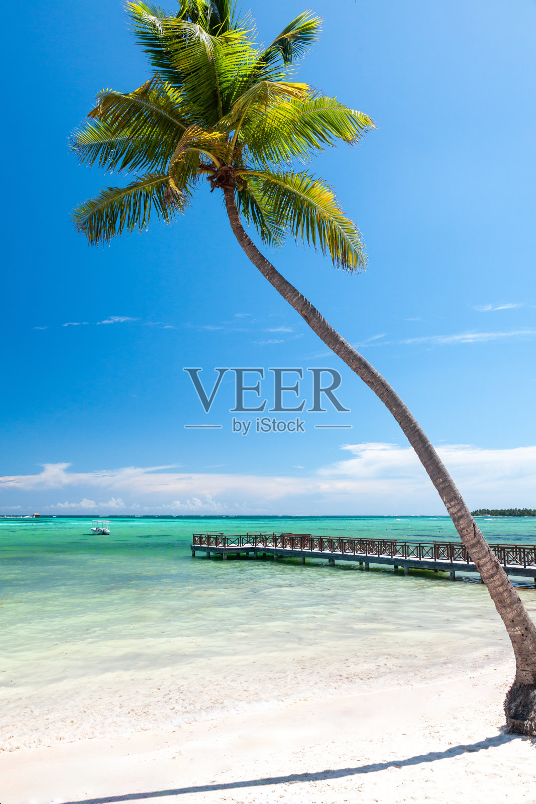 蓬塔卡纳有棕榈树和码头的热带海滩。照片摄影图片