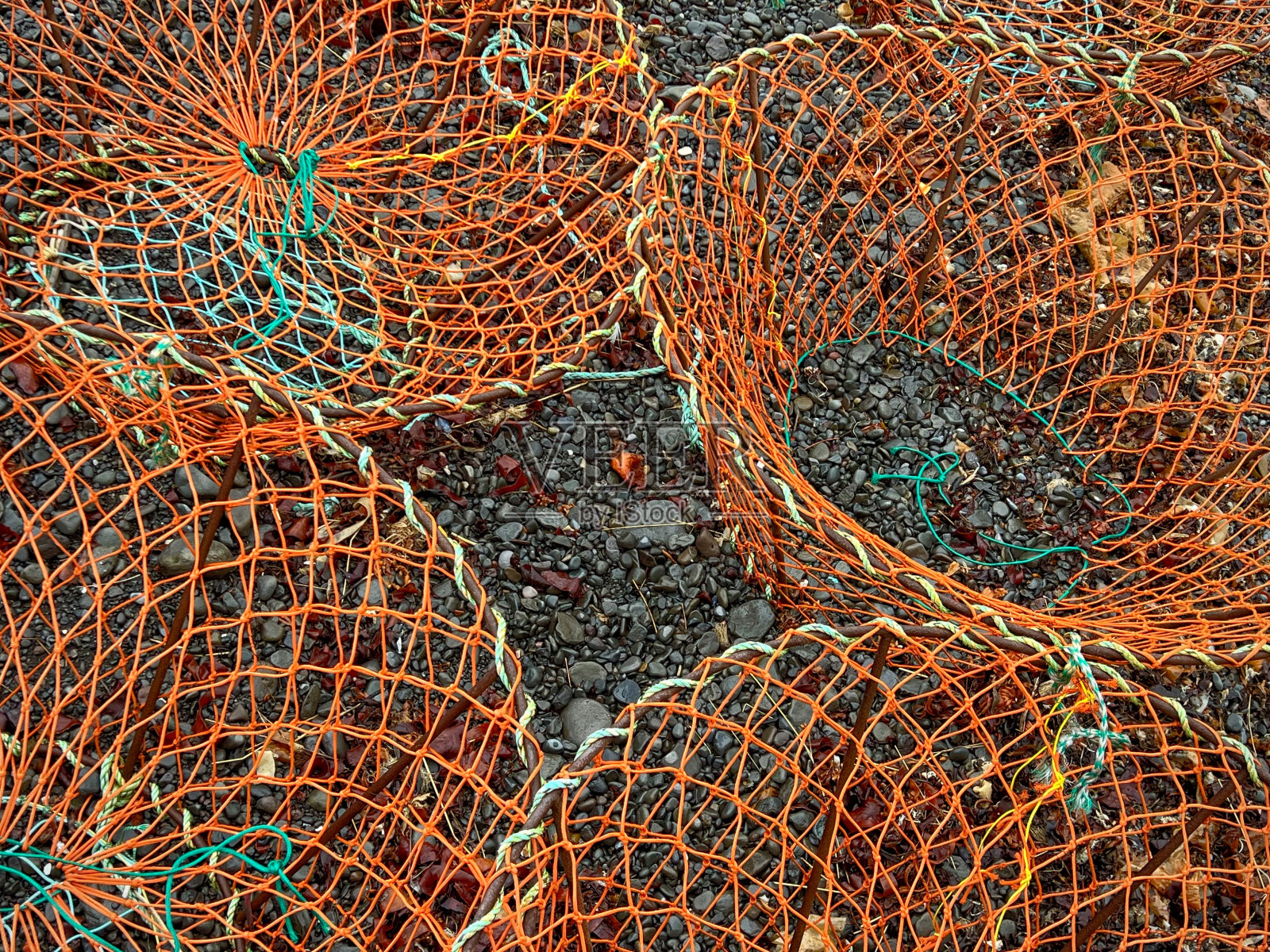 鱼的陷阱照片摄影图片