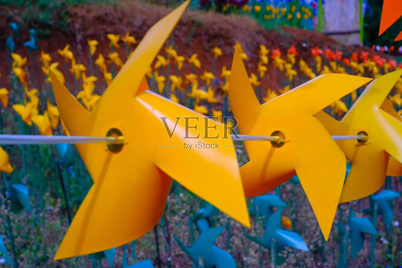 一排排的橙色风车照片摄影图片