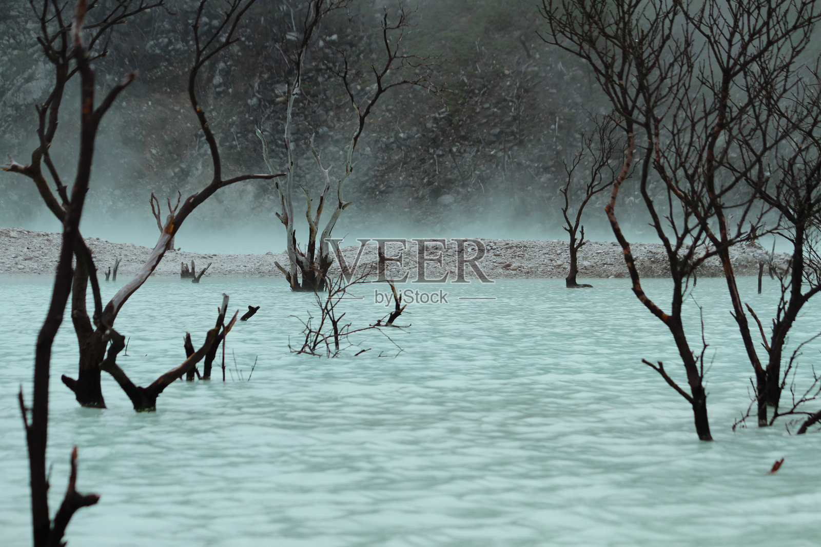 一棵死树躺在由不活跃的火山口组成的湖中央照片摄影图片