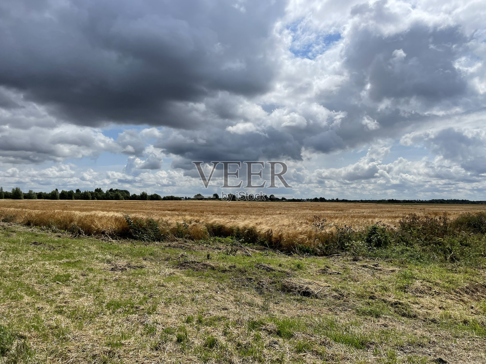 金色芬兰地区的风暴天空照片摄影图片
