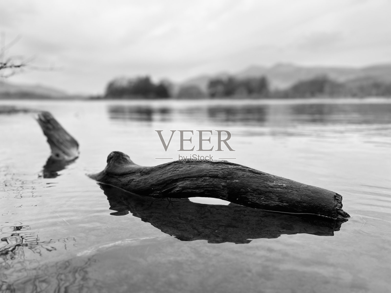 坎布里亚郡Derwentwater上的浮木照片摄影图片