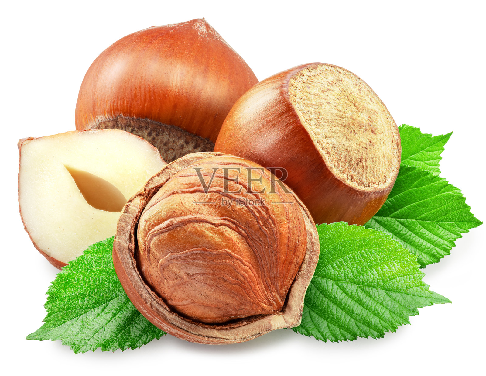 榛子，白色背景上的榛子仁和绿叶。剪切路径。照片摄影图片